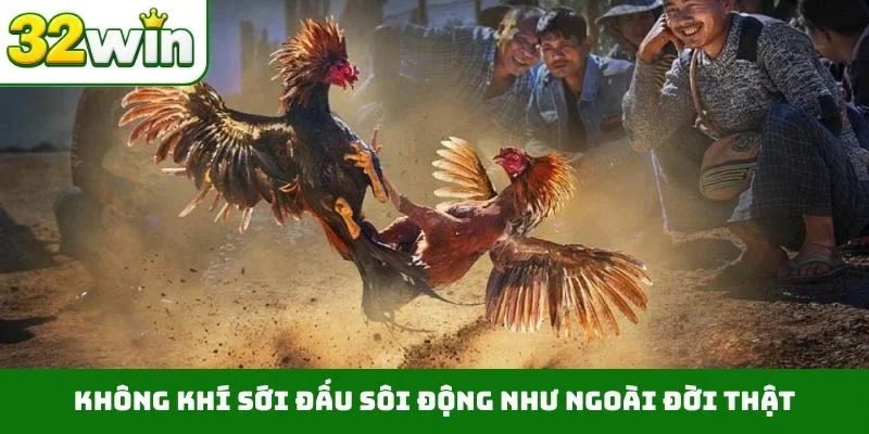 Đá Gà Thomo 32WIN – Sảnh Cược Trực Tiếp Chất Lượng, Uy Tín Không khí sới đấu sôi động như ngoài đời thật