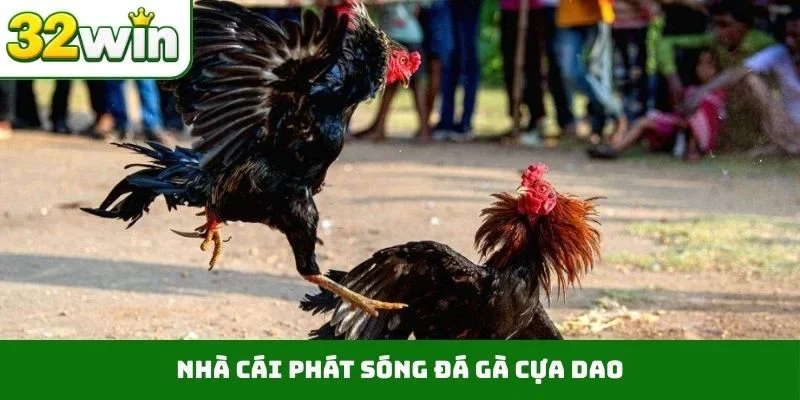 Đá Gà Cựa Dao – Những Trận Chiến Nảy Lửa Ngay Trên 32WIN Nhà cái phát sóng đá gà cựa dao
