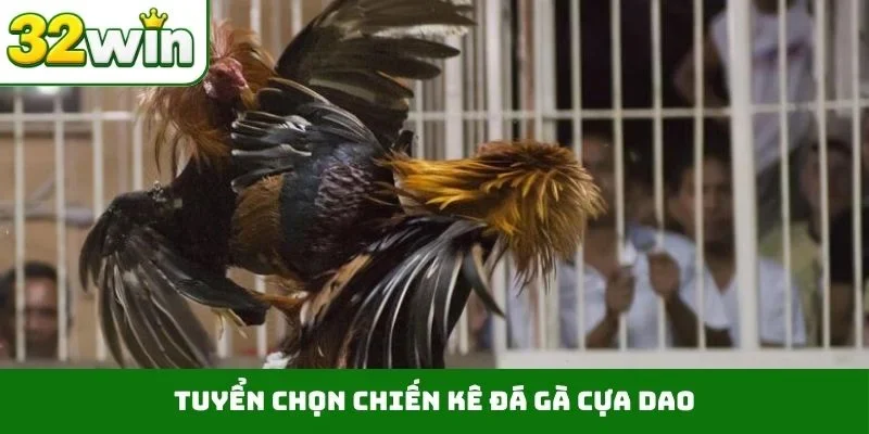 Đá Gà Cựa Dao – Những Trận Chiến Nảy Lửa Ngay Trên 32WIN Tuyển chọn chiến kê đá gà cựa dao