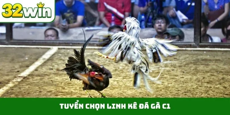 Đá Gà C1 – Bùng Nổ Giải Đấu Đỉnh Cao Gay Cấn Tại 32WIN Tuyển chọn linh kê đá gà C1